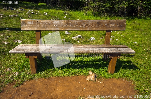 Image of Wooden bench without people