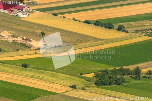 Image of Green fields aerial view before harvest