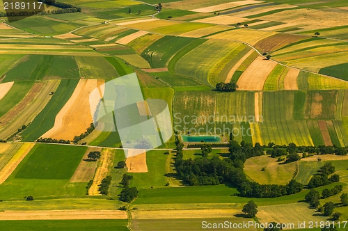 Image of Green fields aerial view before harvest