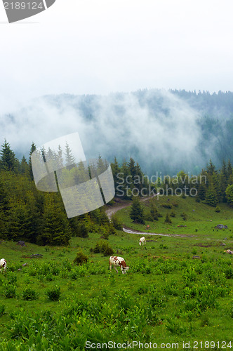 Image of Beautiful landscape at the mountains