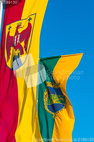 Image of Closeup photo of a flag