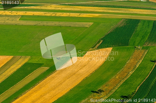 Image of Green fields aerial view before harvest