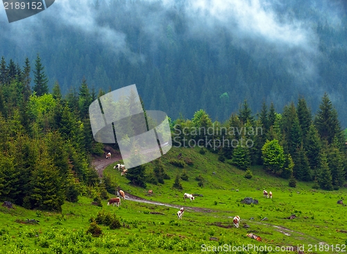 Image of Beautiful landscape at the mountains