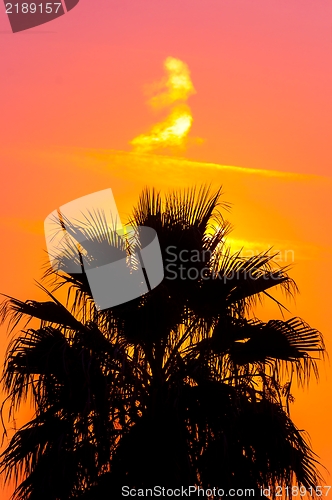 Image of Golden sunset at a mediterranean area