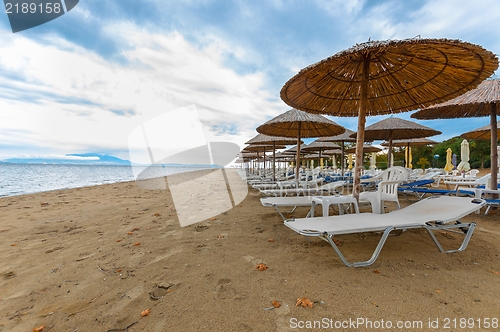 Image of Tropical scene st the beach