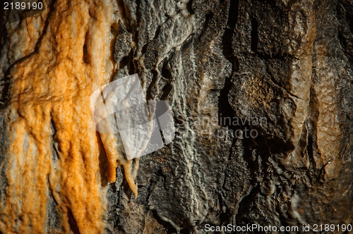 Image of Underground photo in a cave with bright lighr