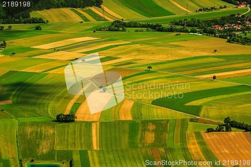 Image of Green fields aerial view before harvest