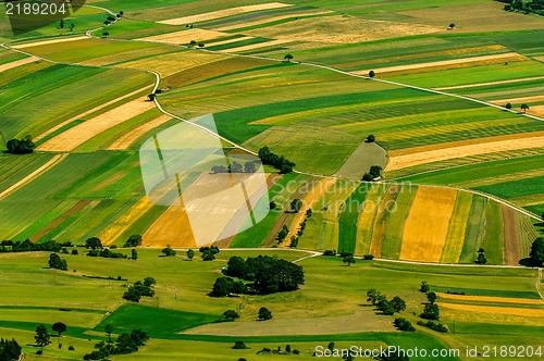 Image of Green fields aerial view before harvest