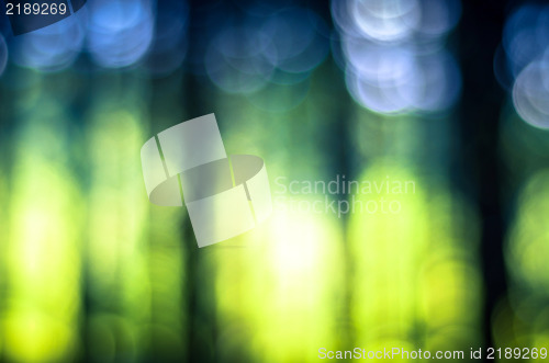 Image of Abstract out of focus green background