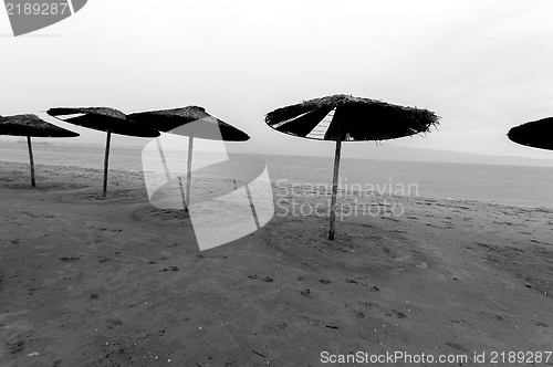 Image of Tropical scene st the beach