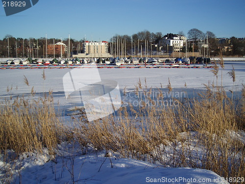 Image of Frozen sea