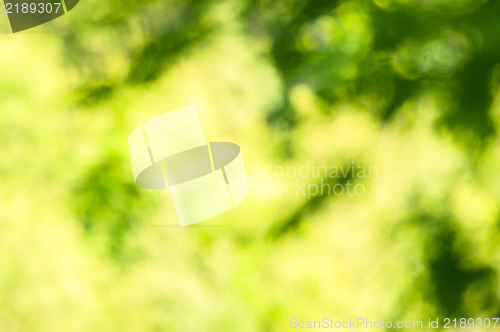 Image of Abstract out of focus blurry background