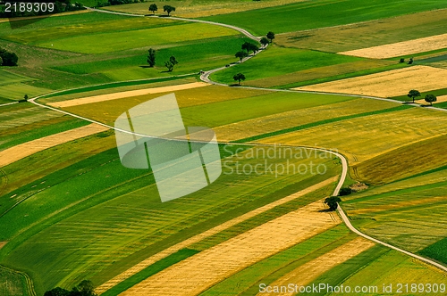 Image of Green fields aerial view before harvest