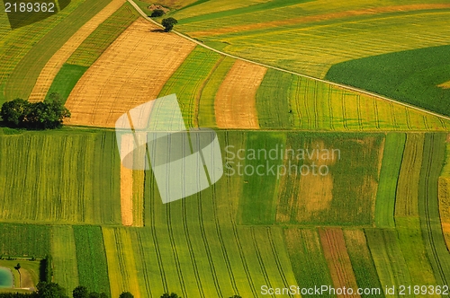 Image of Green fields aerial view before harvest