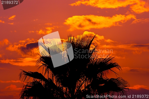 Image of Golden sunset at a mediterranean area