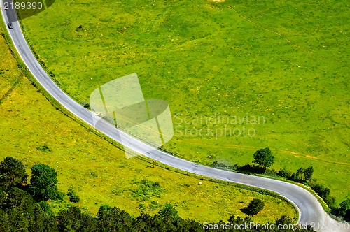 Image of Green fields with road