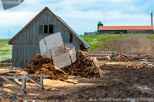 Image of Lumber industry, outdoors