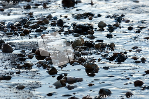 Image of Smoothg stones at the shore