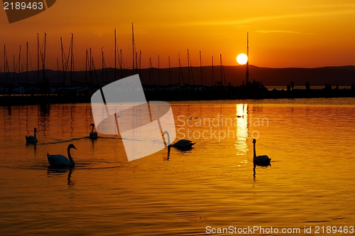 Image of Beautiful Sunset at the ocean