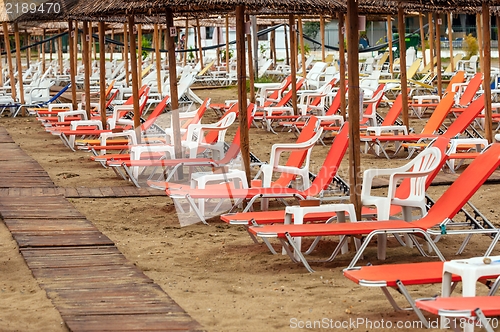 Image of Tropical scene st the beach