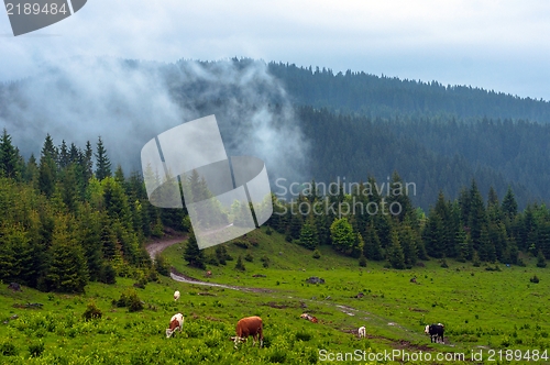 Image of Beautiful landscape at the mountains