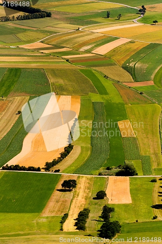 Image of Green fields aerial view before harvest at summer