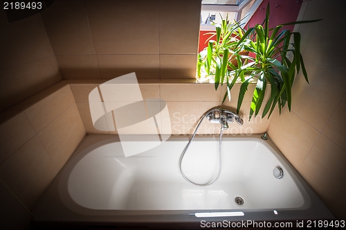 Image of Clean bathtub in summer light