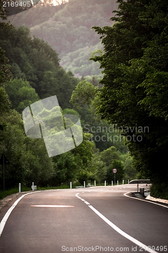 Image of Road in the forest