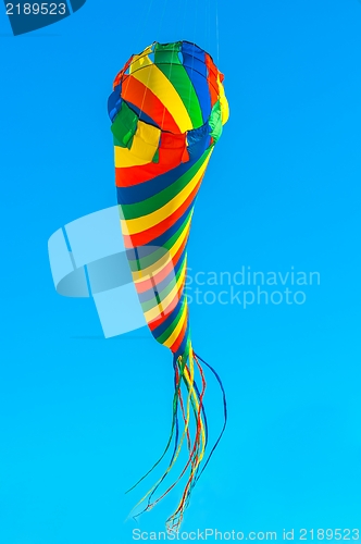 Image of Multi colored kite