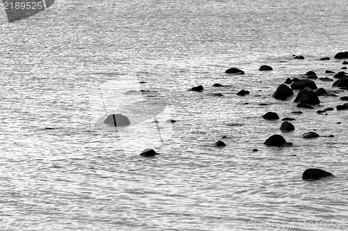 Image of Smooth stones in the water