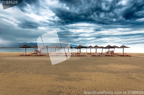 Image of Tropical scene st the beach