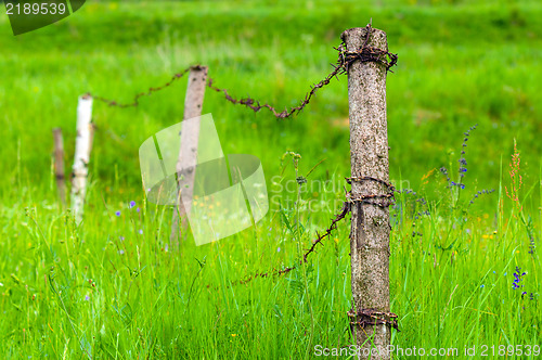 Image of Small fence for the animals