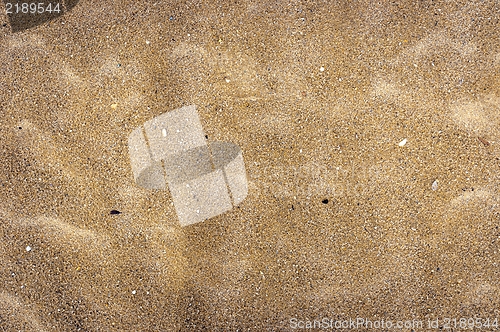 Image of Closeup of sand texture