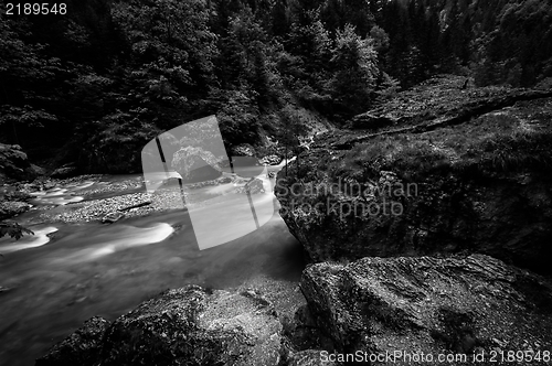 Image of Fast mountain river   flowing