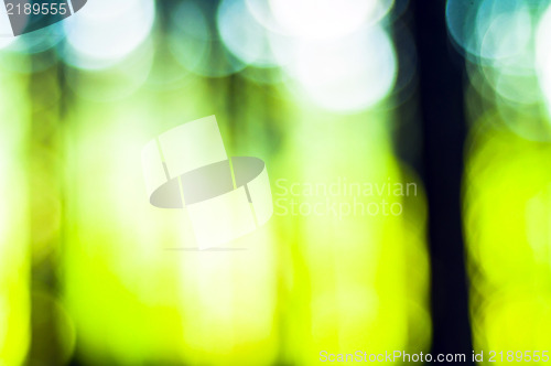 Image of Abstract out of focus green background