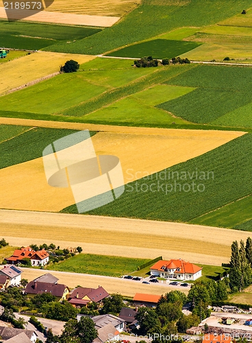 Image of Green fields aerial view before harvest