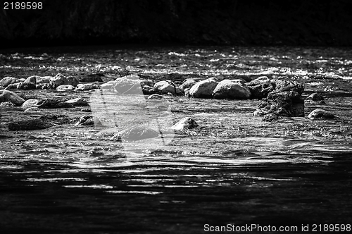 Image of Fast mountain river in black and white