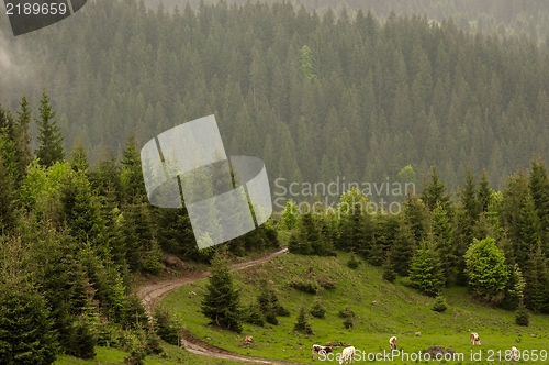 Image of Beautiful landscape at the mountains