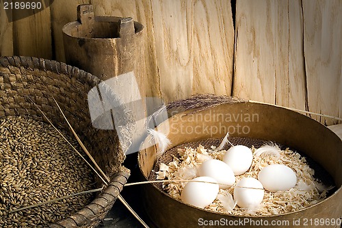 Image of eggs