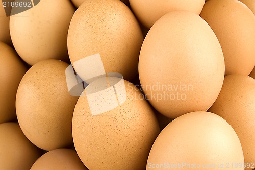 Image of It is eggs