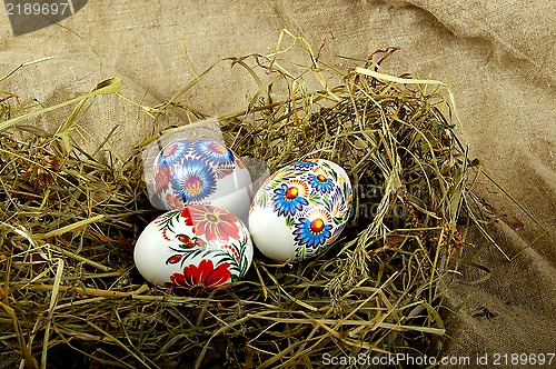 Image of The painted eggs 