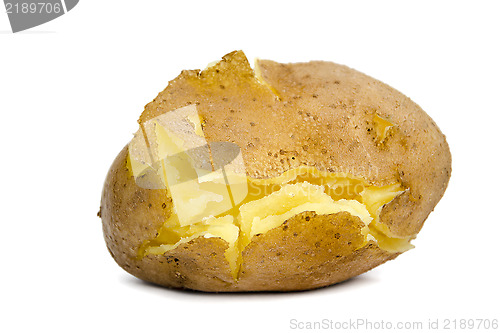 Image of Unpeeled cracked cooked potato on a white background