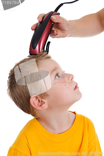 Image of Young boy getting haircut