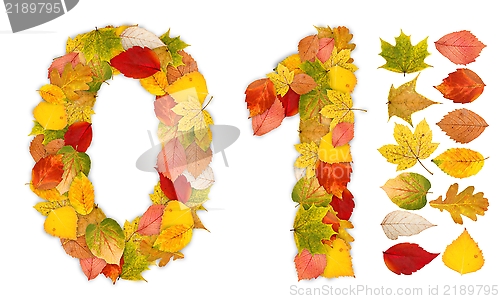 Image of Numbers 0 and 1 made of autumn leaves