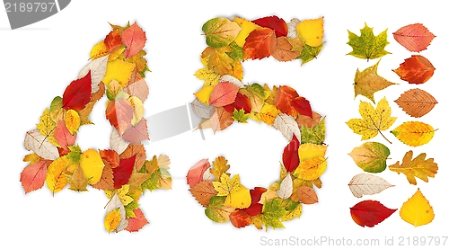 Image of Numbers 4 and 5 made of autumn leaves