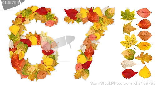 Image of Numbers 6 and 7 made of autumn leaves