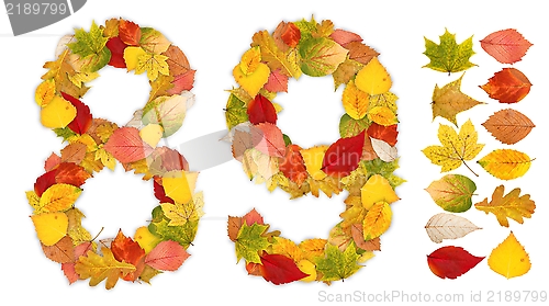 Image of Numbers 8 and 9 made of autumn leaves