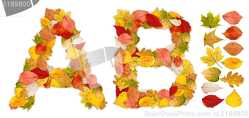 Image of Characters A and B made of autumn leaves