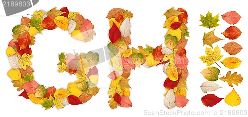 Image of Characters G and H made of autumn leaves