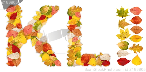 Image of Characters K and L made of autumn leaves